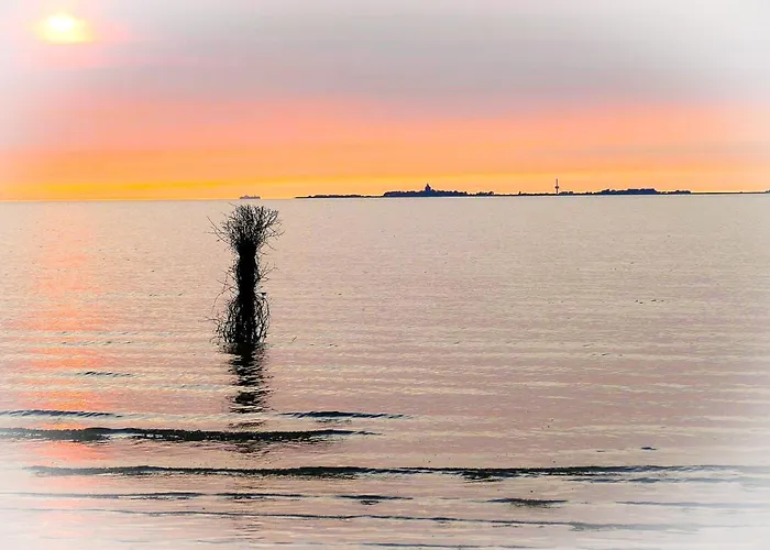 Haus Nordseebrandung Nc74 Daire *